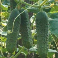 Gaseste listate pe ejobs 5071 de locuri de munca disponibile in strainatate! Sera Munca Top Locuri De Munca In Europa Si Romania