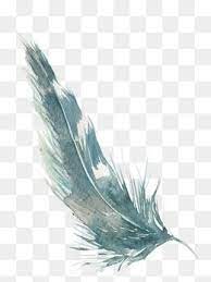 Watercolor Feather Png Images Vector And Psd Files Free Download On Pngtree Watercolor Feather Feather Graphic Feather Art