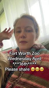 #greenscreen help bring Doggie home 😭🖤🥺 #ftworthtx #fortworth  #fortworthzoo #dallasfortworth #zoo #lostplushie #lostandfound  #stuffedanimal