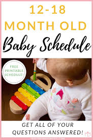 The Complete Perfect 12 18 Month Old Baby Schedule Free