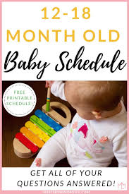 the complete perfect 12 18 month old baby schedule free