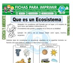 Un ecosistema urbano en cambio es un entorno creado por el hombre. Ficha De Que Es Un Ecosistema Para Tercero De Primaria Tercero De Primaria Ecosistemas Cuadernos Interactivos De Ciencias