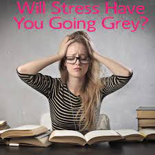 Let's talk about how stress can potentially turn your hair grey. Dr Oz The Dash Diet How To Cut Sodium Does Stress Cause Grey Hair