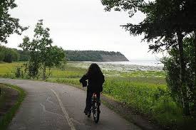The trail runs along the knik arm and on most days you can share the trail with other walkers, runners, bikers and sometimes even wildlife like. Tony Knowles Coastal Trail Alaska Trails Traillink