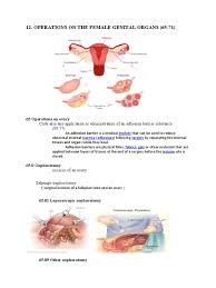 Colposcopy: An Evidence-Based Update | American Board Of Family Medicine