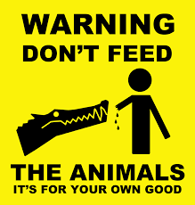We did not find results for: Quotes About Feed The Animals 40 Quotes