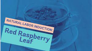 Natural Labor Induction Series Red Raspberry Leaf Youtube