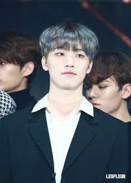 Upptäck korta videor som rör lee chan seventeen på tiktok. 181128 Seventeen Aaa Red Carpet Dino Seventeen Dino Seventeen Seventeen Debut