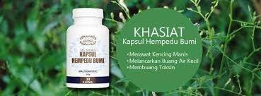 Kkasiat empedu dan sumsum ular kobra, 2019. Hempedu Bumi Kencing Manis Posts Facebook