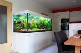 Pin De Julio Cesar Candido Da Costa Em Aquarios Top