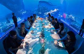 Mr & mrs bund (dinner meeting point), 6th floor, no. Airgads Ultraviolet By Paul Pairet Shanghai China