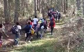 Califican de impactante éxodo de haitianos cruzan la frontera por ...