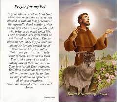 Almighty god, i was fortunate to receive the gift of (name of pet) from you now that he/she has left this life, please help me cope with my loss with. Pin On Kathy