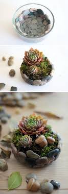 25 Diy Sukkulenten Garten Ideen Und Tutorials Selbermachen Sukkulenten Sukkulenten Diy Sukkulententerrarium