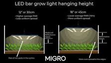 Learn How High to Hang Your Grow Light For Maximum Yields ...