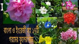 We did not find results for: Best Of Flowers Name In Bangla Free Watch Download Todaypk