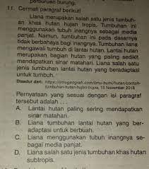 Check spelling or type a new query. Pertanyaan Yang Sesuai Dengan Isi Paragraf Tersebut Adalah Brainly Co Id