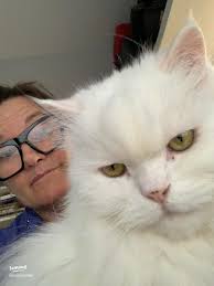 Meet Misi: Our Adventurous Cat Across Continents