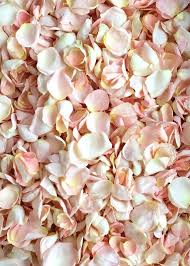 Pink Rose Petals Diy Bride Afloral Com In 2020 Flower Girl Petals Rose Petals Diy Wedding Petals