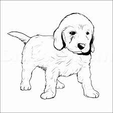 Who doesn't love a puppy? Free Puppy Coloring Cute Printable Puppy Dog Coloring Pages Coloring Pages Puppy Coloring Sheets I Trust Coloring Pages