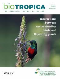 Image result for Habenaria rhopalostigma