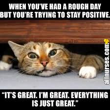 Pin On Nursing Humor