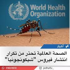 دولي آلاف الإصابات بحمى "شيكونغونيا" في فوشان الصينية و"الصحة العالمية" تحذر من تفشٍ عالمي . أعلنت السلطات الصحية في جمهورية الصين الشعبية، اليوم، تسجيل أكثر من 3195 إصابة مؤكدة بفيروس "شيكونغونيا" في