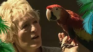 Giraffe, Erdmännchen & Co. : Expertenwissen der besonderen Art (121)