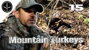 Trending Turkey Episodes