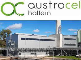 Legal address, headquarters, subsidaries and parent company records. Austrocel Hallein Austria Pulp And Paper Bioenergy Retrofits For Europe S Industry