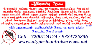 The healthy home is committed to providing effective and environmentally friendly pest control in dubai for you and your family. City Pest Control Services On Twitter Dengue News