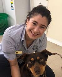 Yarrawonga Veterinary Clinic in Yarrawonga, VIC