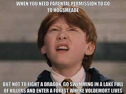 None of the memes belong to me. 50 Of The Funniest Harry Potter Memes That Will Take You Back To Hogwarts Inspirationfeed