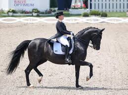 Aachen cdio 5 sterne isabell werth mit bella rose mit ihrer neu eingespielten kür zu italienischer klassik. Isabell Werth Gewinnt Grand Prix In Donaueschingen
