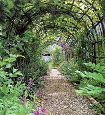 Fameil fameill garden arch arbor,metal pergola arbor,trellis for vines plant climbing wedding garden arch bridal party wedding decoration wide arbor outdoor gardening walkway arches. Garden Arches Nurseries Online