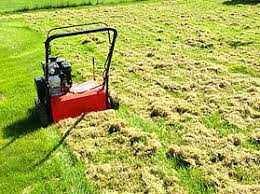 Pull the rake across your lawn, so it pulls out the thick thatch layer. Biological Liquid Dethatcher For Lawns Do They Work Garden Myths