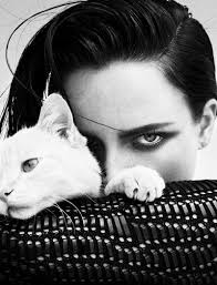 Resaca Punk Harper S Bazaar Spain Cats Fashion Beauty Photography Cat Fashion