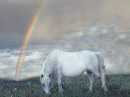 white horse white wolf beautiful white horses mythology photos white horses horses white horse