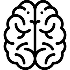 Le livre numérique (en anglais : Vena Anastomotica Inferior Labbe Vene Ars Neurochirurgica