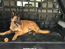 2008 Newer Toyota Sequoia Behind 2nd Row Seats Rear Barrier Divider Net Toyota Sequoia Dream Cars