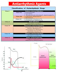 antiarrhythmics pocket card unknown 9781941004050 amazon