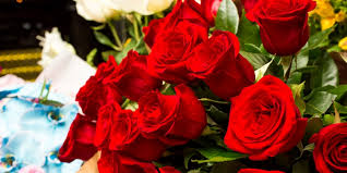 Perchè inviare delle rose rosse ad una persona? Rose Rosse Colorate Quante Se Ne Regalano Il Significato Del Colore