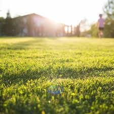 Trugreen is a reputable lawn care service provider with a presence in over 50 states. Trugreen Vs Lawn Doctor 2021 This Old House