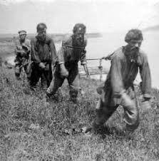 Закарпатська поліція затримала 34-річного жителя Рахова, якого підозрюють у смертельному наїзді на прикордонника - Цензор.НЕТ 4610