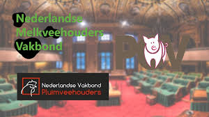 Dat gebeurt door de leden van de provinciale staten. Pov Nvp En Nmv Aan Eerste Kamer Verwerp Alstublieft De Stikstofwet Pigbusiness Nl Nieuws Voor Varkenshouders
