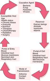 Chain Of Infection Infection Control Nursing Nursing School Survival Fundamentals Of Nursing