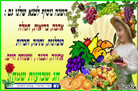שעה וחצי לפני כניסת החג שבועות הלחמניות ההורסות האלו יצאו מהתנור כל הבית התמלא בריח מושלם של שום עדין באוויר ואף אחד לא הצליח להוריד את הידיים והעיניים שלו מהלחמניות יצא פשוט מושלם תודה רבה זה. ×©×'×•×¢×•×ª ×©×ž×— Picmix