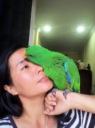 Wish was more Jojo and Gran Gran, moon and me shows. Little one loves them.