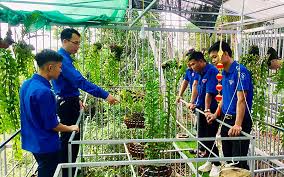 Thanh niên, những tin tức và sự kiện về thanh niên cập nhật liên tục và mới nhất năm 2021. Dáº©y Máº¡nh Phong Trao Khá»Ÿi Nghiá»‡p Láº­p Nghiá»‡p Trong Thanh Nien Bao Nhan Dan