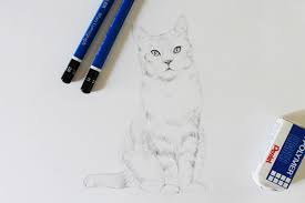 How to draw an a cat? How To Draw A Realistic Cat Step By Step Tutorial Craftsy